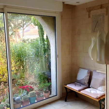 Studio A Calvi A 150 M De La Plage